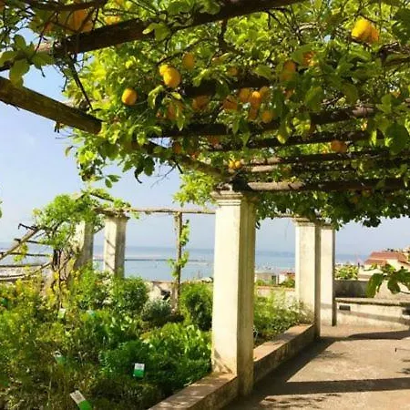 Homestay Carla's Dreams Salerno