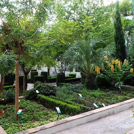 Homestay Carla's Dreams Salerno
